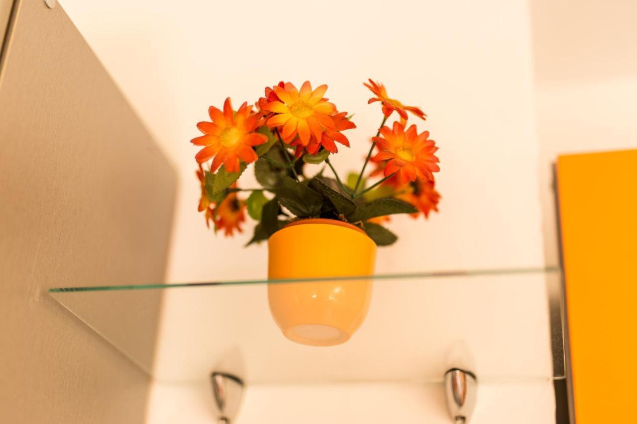 Apartament Magi *